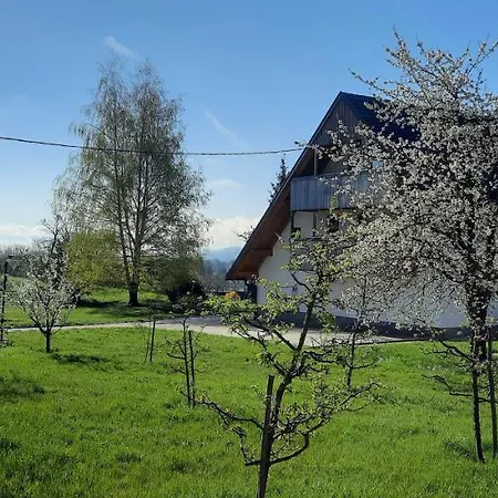 Grandma's House Apartment