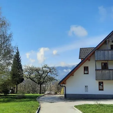 Grandma's House Apartment Bled