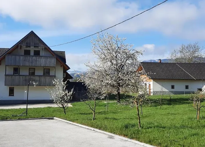 Grandma's House Apartamento