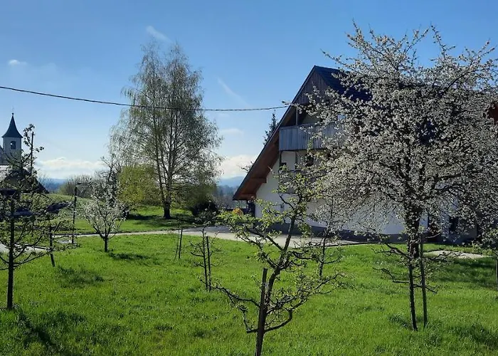 Grandma's House Apartamento